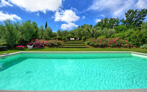 Villa Mami: Acqua, Nube, Cielo, Pianta, Piscina, Albero, Azzurro, Rettangolo, Erba, Tempo Libero