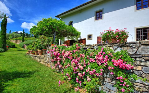 Villa Mami: Fiore, Pianta, Cielo, Proprietà, Finestra, Nube, Verde, Costruzione, Architettura, Albero