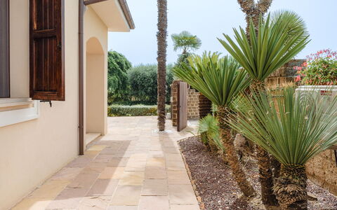 Cyca Holiday Home: Pianta, Costruzione, Cielo, Albero, Arecales, Impianto Terrestre, Shade, Immobiliare, Paesaggio, Facciata