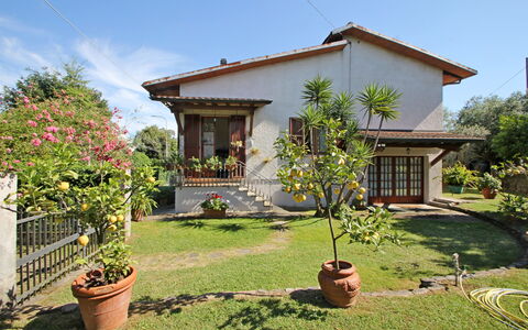 Casa Il Prato: Pianta, Cielo, Proprietà, Fiore, Costruzione, Finestra, Vaso Di Fiori, Albero, Lotto, Vegetazione