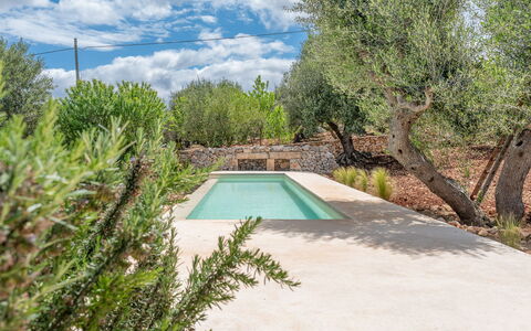 Villa La Selva: Acqua, Pianta, Comunita 'Impianto, Cielo, Nube, Piscina, Paesaggio Naturale, Albero, Shade, Paesaggio