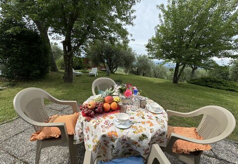 Pinocchio: Tavolo, Pianta, Mobilia, Proprietà, Sedia, Tavolo Esterno, Tavola, Albero, Mobili Da Esterno, Paesaggio Naturale