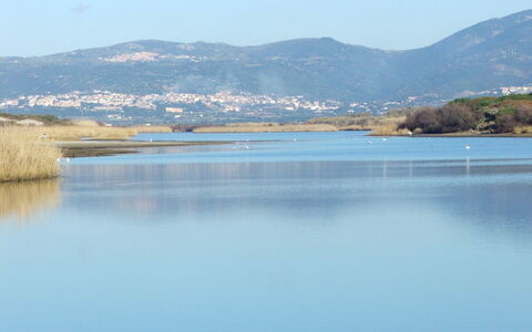 Valledoria 19: Risorse Idriche, Acqua, Geografia Montane, Corpo D'Acqua, Collina, Montagna, Banca, Waterway, Lago, Costiera E Morfologie Oceanic