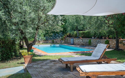 Chianti Hills Apartment, Pool, Ac: Pianta, Acqua, Proprietà, Mobilia, Piscina, Shade, Mobili Da Esterno, Interior Design, Lettino, Albero