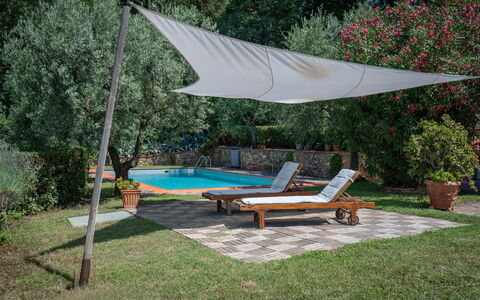 Chianti Hills Apartment, Pool, Ac: Pianta, Acqua, Tavolo, Shade, Vaso Di Fiori, Albero, Mobili Da Esterno, Lettino, Piscina, Tempo Libero
