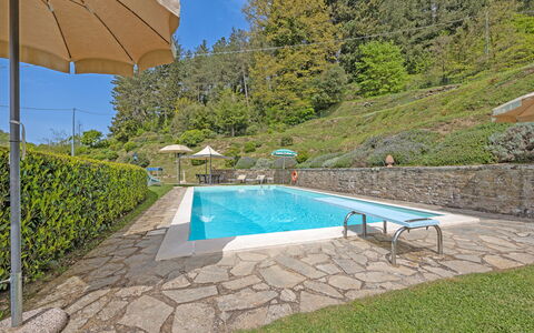 La Montana: Acqua, Pianta, Piscina, Azzurro, Shade, Albero, Mobili Da Esterno, Costruzione, Rettangolo, Ombrello