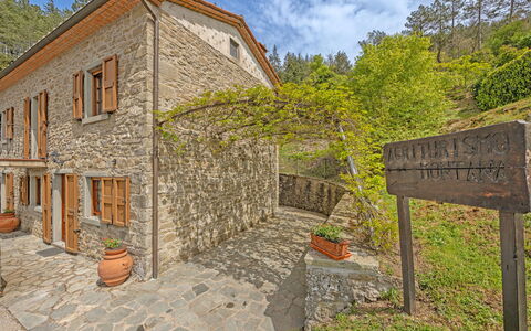 La Montana: Pianta, Costruzione, Nube, Proprietà, Cielo, Albero, Finestra, Lotto, Casa, Brick