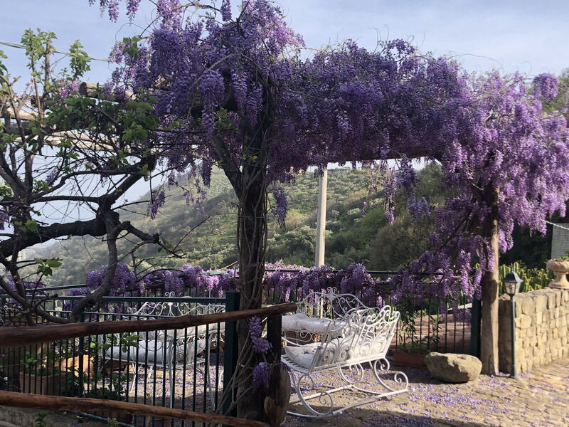 San Noto House With Pool Ac Wifi