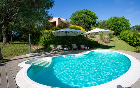 Villa Gelso: Acqua, Pianta, Proprietà, Cielo, Piscina, Azzurro, Albero, Natura, Mobili Da Esterno, Corpo D'Acqua