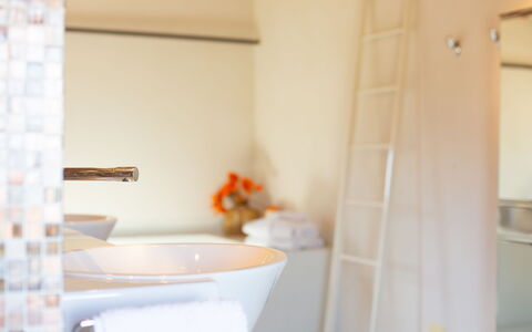 Villa Gelso: Rubinetto, Idraulico Fixture, Lavandino Del Bagno, Lavello, Mobiletto Del Bagno, Legna, Pavimento, Pavimentazione, Idraulico, Bagno