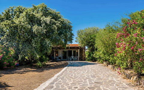 La Casa dei Nonni: Arbusto, Giardino, Shade, Flagstone, Landscaping, Cortile, Driveway, Hacienda, Backyard, Agriturismo