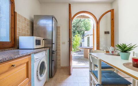 Approdo: Pianta, Cabinetry, Proprietà, Controsoffitto, Mobilia, Pianta Della Casa, Vaso Di Fiori, Tavolo, Elettrodomestico Da Cucina, Legna