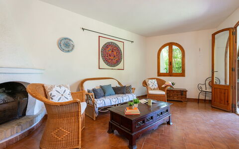 Approdo: Mobilia, Pianta, Divano, Costruzione, Tavolo, Comfort, Pianta Della Casa, Legna, Finestra, Interior Design