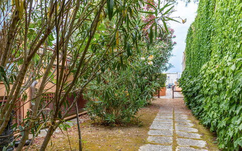 Fano Suite Apartment: Pianta, Impianto Terrestre, Erba, Paesaggio Naturale, Manto Stradale, Arbusto, Albero, Arecales, Cielo, Paesaggio