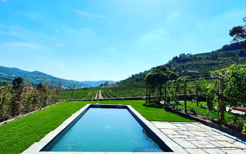 B&b Vigne Di Fagnano Without Kitchen: Acqua, Cielo, Pianta, Azzurro, Paesaggio Naturale, Piscina, Albero, Rettangolo, Corpo D'Acqua, Nube