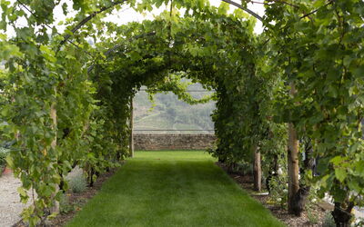 B&b Vigne Di Fagnano Without Kitchen