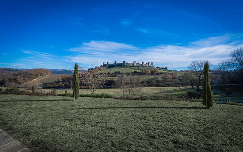 Santa Colomba House, Siena, Nature And Pool: Erba, Pascolo, Paesaggio, Plain, Lotto, Area Rurale, Campo, Pascolo, Prato, Prateria