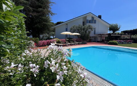 Villapronti: Acqua, Pianta, Fiore, Proprietà, Costruzione, Cielo, Piscina, Albero, Sedia, Casa