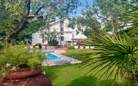 Villapronti: Pianta, Costruzione, Paesaggio Naturale, Albero, Botanica, Vaso Di Fiori, Cielo, Architettura, Lotto, Vegetazione