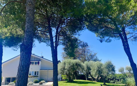 Villapronti: Pianta, Proprietà, Cielo, Costruzione, Albero, Verde, Blu, Shade, Paesaggio Naturale, Ramo