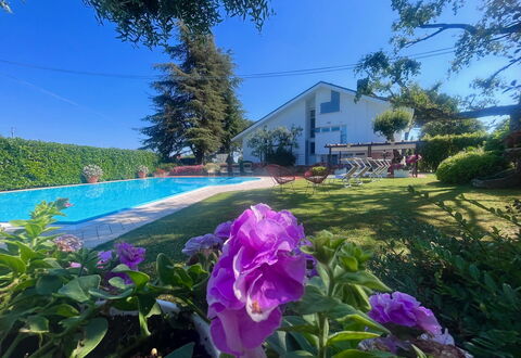 Villapronti: Fiore, Pianta, Cielo, Comunita 'Impianto, Botanica, Foglia, Viola, Vegetazione, Paesaggio Naturale, Petalo