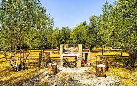 Grotta Porcina: Racchetta Sport, Woodland, Parco, Netto, Boschetto