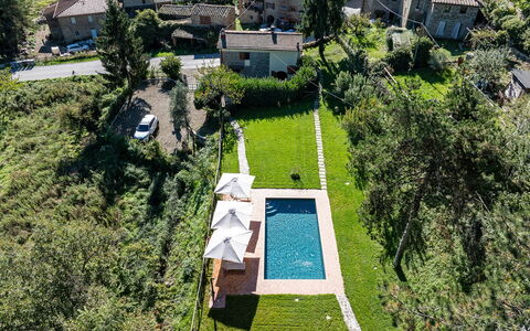 Villa Chicco: Proprietà, Pianta, Natura, Costruzione, Albero, Erba, Vegetazione, Lotto, Urban Design, Biome