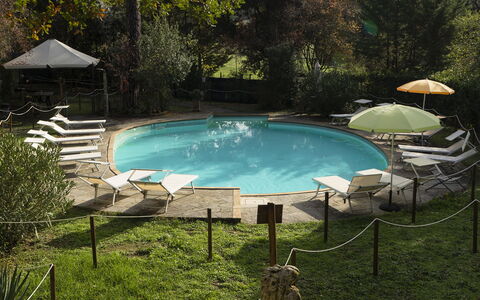 Borgo Dolciano: Acqua, Pianta, Piscina, Shade, Mobili Da Esterno, Paesaggio Naturale, Erba, Albero, Sedia, Tempo Libero