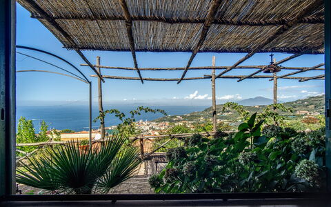 Villa Solaria with Private Pool: Cielo, Pianta, Natura, Shade, Vegetazione, Costruzione, Rettangolo, Arecales, Legna, Erba