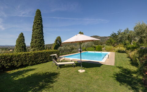 Villa Delle Rose: Cielo, Nube, Acqua, Pianta, Piscina, Mobili Da Esterno, Ombrello, Shade, Albero, Lotto