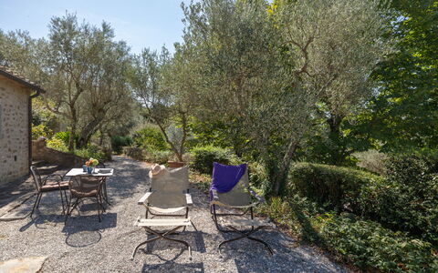Villa Delle Rose: Pianta, Comunita 'Impianto, Sedia, Paesaggio Naturale, Lotto, Albero, Erba, Tavolo, Shade, Mobili Da Esterno