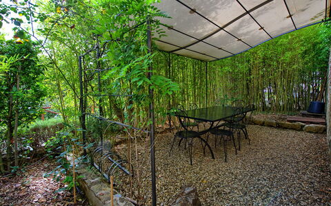 Casa Minuccia: Pianta, Tavolo, Shade, Paesaggio Naturale, Vegetazione, Albero, Impianto Terrestre, Mobili Da Esterno, Biome, Legna