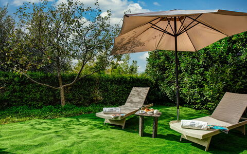 Villa Sorrentina With Panoramic Terrace: Pianta, Nube, Proprietà, Comunita 'Impianto, Cielo, Ombrello, Verde, Foglia, Botanica, Shade