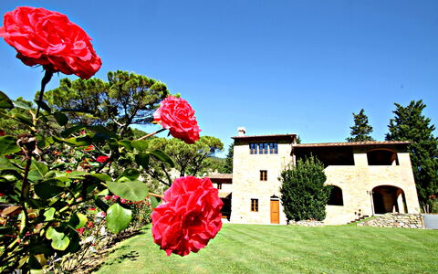 Residence Marino: Fiore, Rosso, Pianta, Petalo, Cielo, Primavera, Casa, Estate, Paesaggio