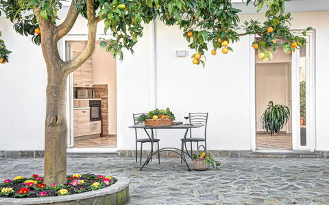 Clementine Country House: Pianta, Proprietà, Costruzione, Mobilia, Tavolo, Vaso Di Fiori, Foglia, Manto Stradale, Architettura, Albero
