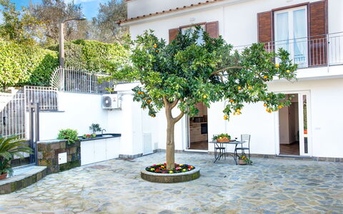 Clementine Country House: Costruzione, Proprietà, Pianta, Finestra, Architettura, Albero, Casa, Vaso Di Fiori, Urban Design, Cielo
