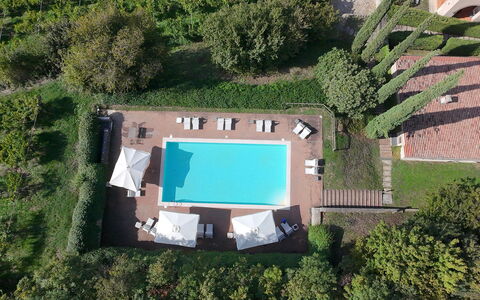 Il Vigneto, Verona, Pool, Wifi: Piscina, Ricorrere, Estate, Eco Hotel, Giardino, Villa, Hacienda, Landscaping, Hotel, Agriturismo