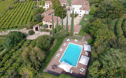 Il Vigneto, Verona, Pool, Wifi: Piantagione, Estate, Visione Globale, Giardino, Agricoltura, Landscaping, Hacienda, Eco Hotel, Villa, Fotografia Aerea