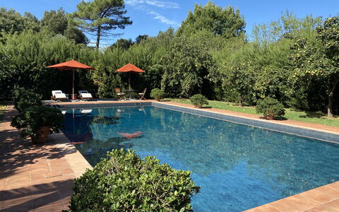 Villa Bongi: Piscina, Ricorrere, Shade, Giardino, Giochi D'Acqua, Tempo Libero, Eco Hotel, Mobili Da Esterno, Hacienda, Landscaping