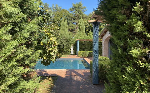 Villa Bongi: Foglia, Verde, Arbusto, Giardino, Shade, Woody Impianto, Landscaping, Piscina, Sempreverde, Hedge