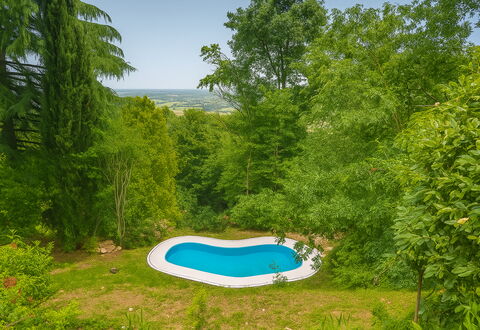 Casa Delle Eriche, Colli Euganei, Pool, Wifi: Piscina, Giardino, Shade, Landscaping, Cortile, Backyard, Eco Hotel
