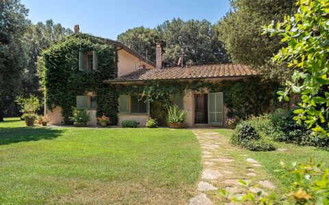 Casale Rosa: Albero, Foglia, Erba, Casa, Ramo, Casa, Vegetazione, Arbusto, Villetta