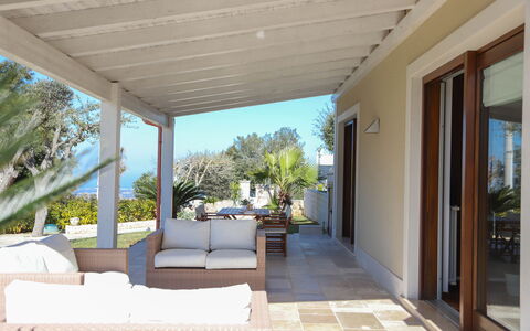 Villa Don Sante In Locorotondo Puglia: Shade, Pianta, Zona Residenziale, Soffitto, Porta, Legna, Albero, Pavimentazione, Cielo, Facciata