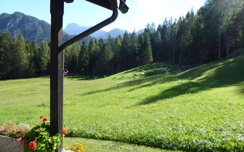 Baita Mountain View Pale San Martino: Verde, Groundcover, Primavera, Prato, Giardino, Prato, Pascolo, Larice, Landscaping, Valle