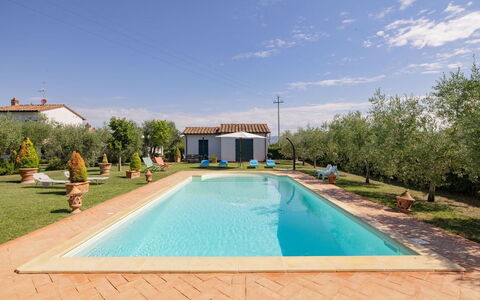 Villa Elena: Piscina, Estate, Hacienda, Ricorrere, Shade, Landscaping, Eco Hotel, Villa, Backyard, Cortile