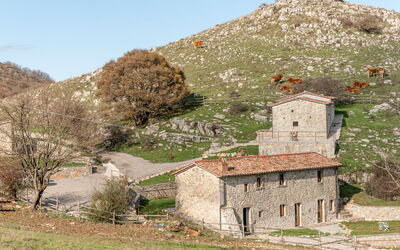 Alloggio:&nbsp;Fuoco 300.3