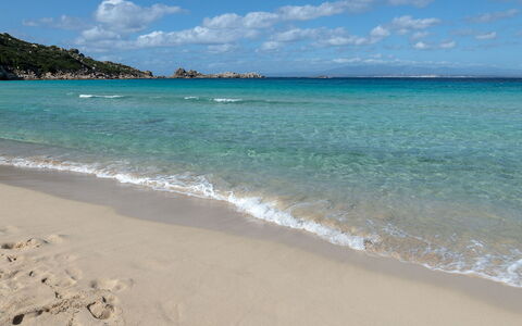 Casa Pavoncelle Apartments In Gallura: Blu, Spiaggia, Acqua, Risorse Idriche, Corpo D'Acqua, Costa, Costiera E Morfologie Oceanic, Mare, Riva