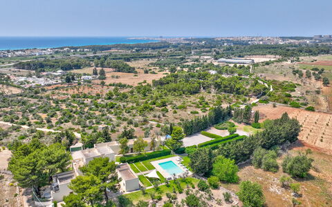 Masseria Ceratonia: Albero, Visione Globale, Zona Residenziale, Paesaggio, Fotografia Aerea, Lotto, Urban Design, Sobborgo, Estate, Piantagione