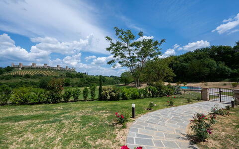 Le Volte, Borgo Campassini, Monteriggioni: Erba, Natura, Paesaggio, Pascolo, Arbusto, Lotto, Plain, Giardino, Primavera, Piantagione