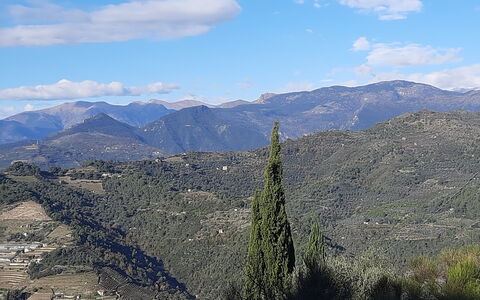 Villa dei Sogni: Montagna, Geografia Montane, Collina, Catena Montuosa, Highland, Hill Station, Cresta, Paesaggio, Natura Selvaggia, Valle